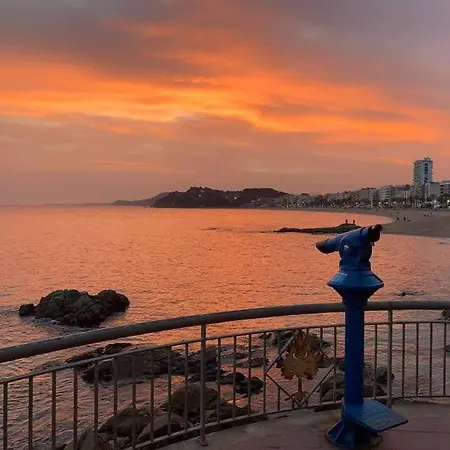 Zodiac Ab 2 C Appartement Lloret de Mar