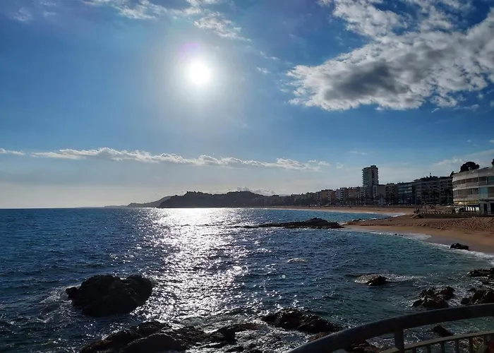 Zodiac Ab 2 C Appartement